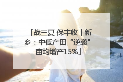 战三夏 保丰收丨新乡：中低产田“逆袭” 亩均增产15%