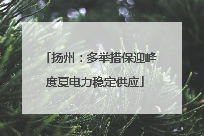 扬州：多举措保迎峰度夏电力稳定供应