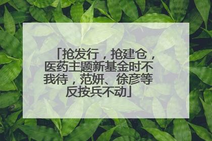 抢发行，抢建仓，医药主题新基金时不我待，范妍、徐彦等反按兵不动