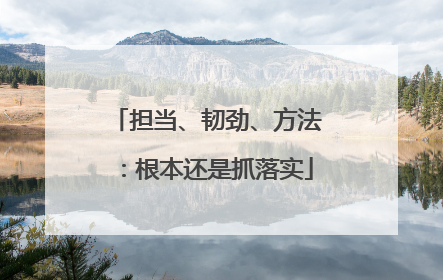 担当、韧劲、方法：根本还是抓落实