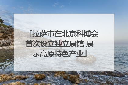 拉萨市在北京科博会首次设立独立展馆 展示高原特色产业