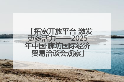 拓宽开放平台 激发更多活力——2025年中国·廊坊国际经济贸易洽谈会观察