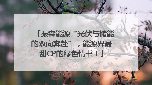 振森能源“光伏与储能的双向奔赴”，能源界最甜CP的绿色情书！