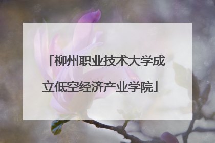 柳州职业技术大学成立低空经济产业学院