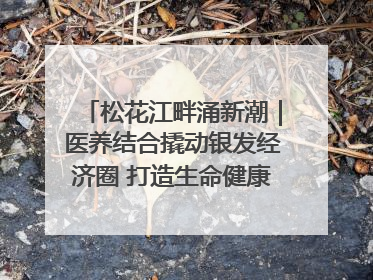松花江畔涌新潮｜医养结合撬动银发经济圈 打造生命健康产业新样本