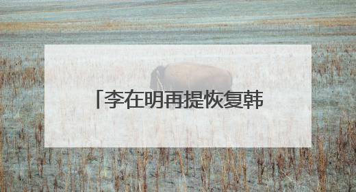 李在明再提恢复韩朝对话合作 强调“和平就是经济”