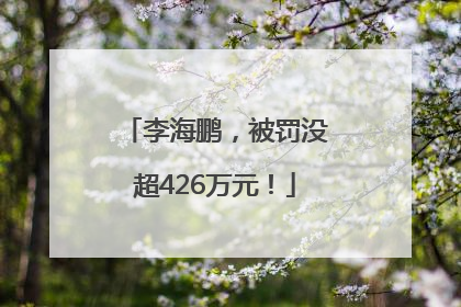 李海鹏，被罚没超426万元！