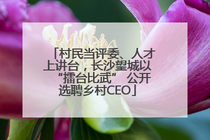 村民当评委、人才上讲台，长沙望城以“擂台比武” 公开选聘乡村CEO