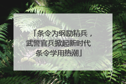条令为纲励精兵，武警官兵掀起新时代条令学用热潮