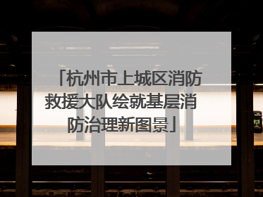 杭州市上城区消防救援大队绘就基层消防治理新图景