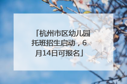 杭州市区幼儿园托班招生启动，6月14日可报名