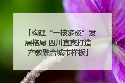 构建“一核多极”发展格局 四川宜宾打造产教融合城市样板