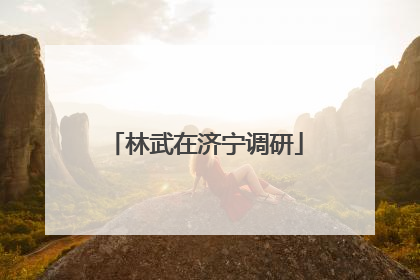 林武在济宁调研