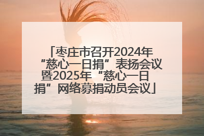 枣庄市召开2024年“慈心一日捐”表扬会议暨2025年“慈心一日捐”网络募捐动员会议
