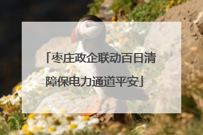 枣庄政企联动百日清障保电力通道平安