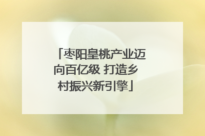枣阳皇桃产业迈向百亿级 打造乡村振兴新引擎