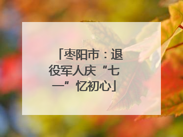 枣阳市：退役军人庆“七一”忆初心