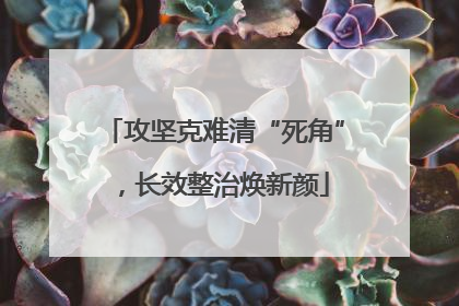攻坚克难清“死角”，长效整治焕新颜