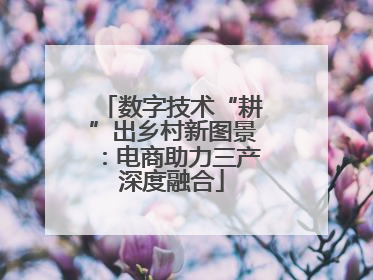 数字技术“耕”出乡村新图景：电商助力三产深度融合
