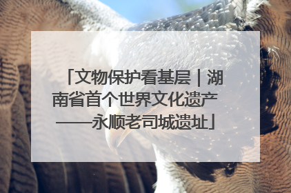 文物保护看基层｜湖南省首个世界文化遗产——永顺老司城遗址