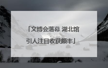 文博会落幕 湖北馆引人注目收获颇丰