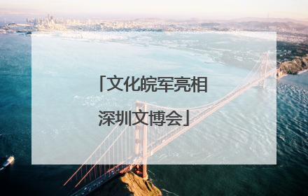 文化皖军亮相深圳文博会