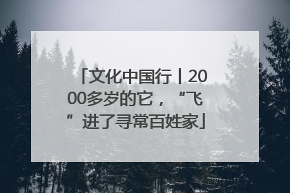 文化中国行丨2000多岁的它，“飞”进了寻常百姓家