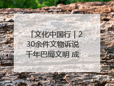 文化中国行｜230余件文物诉说千年巴蜀文明 成渝地区基建考古成果展开展
