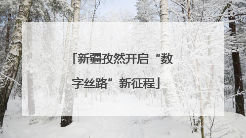 新疆孜然开启“数字丝路”新征程