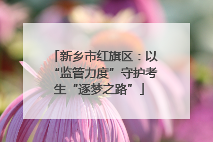 新乡市红旗区：以“监管力度”守护考生“逐梦之路”