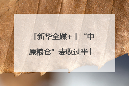 新华全媒+丨“中原粮仓”麦收过半