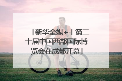 新华全媒+丨第二十届中国西部国际博览会在成都开幕