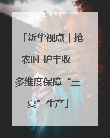 新华视点｜抢农时 护丰收 多维度保障“三夏”生产