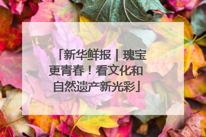 新华鲜报｜瑰宝更青春！看文化和自然遗产新光彩