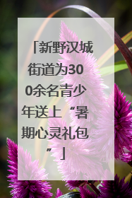 新野汉城街道为300余名青少年送上“暑期心灵礼包”