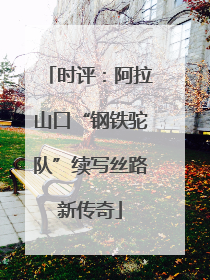时评：阿拉山口“钢铁驼队”续写丝路新传奇