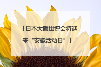 日本大阪世博会将迎来“安徽活动日”