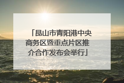 昆山市青阳港中央商务区暨重点片区推介合作发布会举行