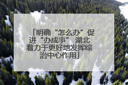 明确“怎么办”促进“办成事” 湖北着力于更好地发挥综治中心作用