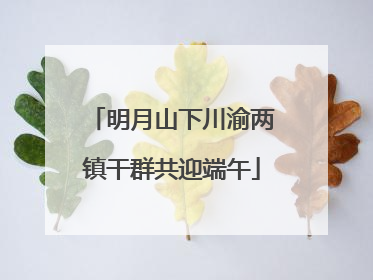 明月山下川渝两镇干群共迎端午