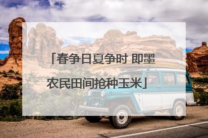 春争日夏争时 即墨农民田间抢种玉米