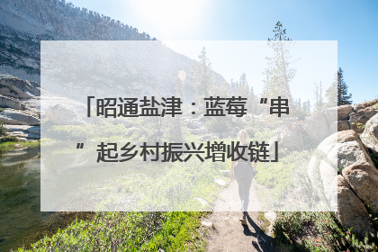 昭通盐津：蓝莓“串”起乡村振兴增收链