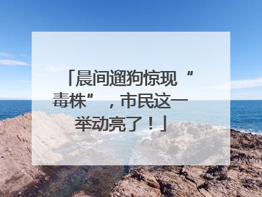 晨间遛狗惊现“毒株”，市民这一举动亮了！