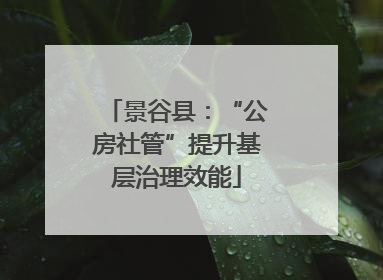 景谷县：“公房社管”提升基层治理效能