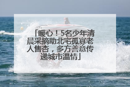暖心！5名少年清晨采摘助北宅孤寡老人售杏，多方善意传递城市温情