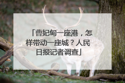 曹妃甸一座港，怎样带动一座城？人民日报记者调查