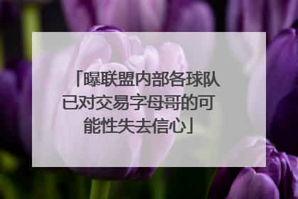曝联盟内部各球队已对交易字母哥的可能性失去信心