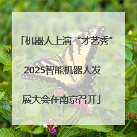 机器人上演“才艺秀” 2025智能机器人发展大会在南京召开