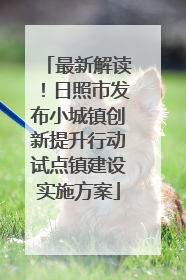 最新解读！日照市发布小城镇创新提升行动试点镇建设实施方案