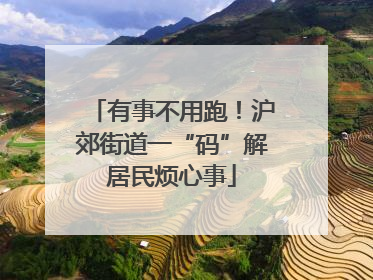 有事不用跑！沪郊街道一“码”解居民烦心事